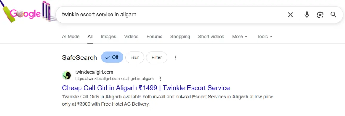 screenshot result keyword type on google 'twinkle escort service in aligarh'